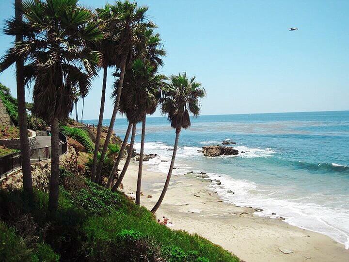 restaurants-venice-beach-storytellers-montreal