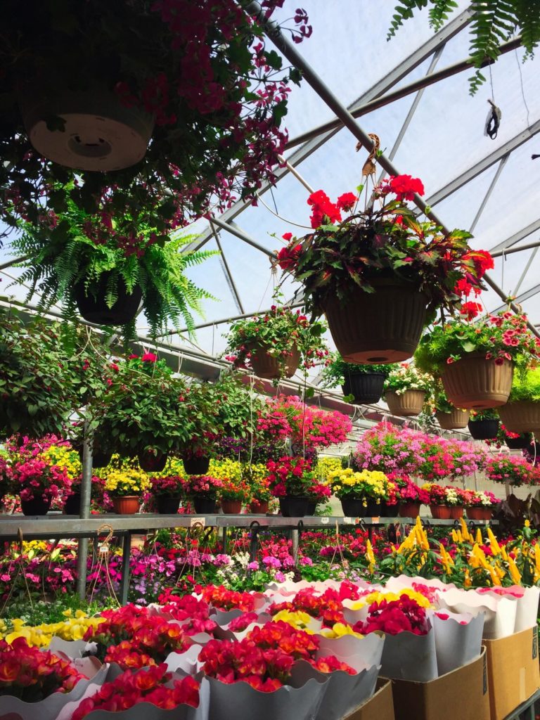 serre-fleurs-marche-maisonneuve