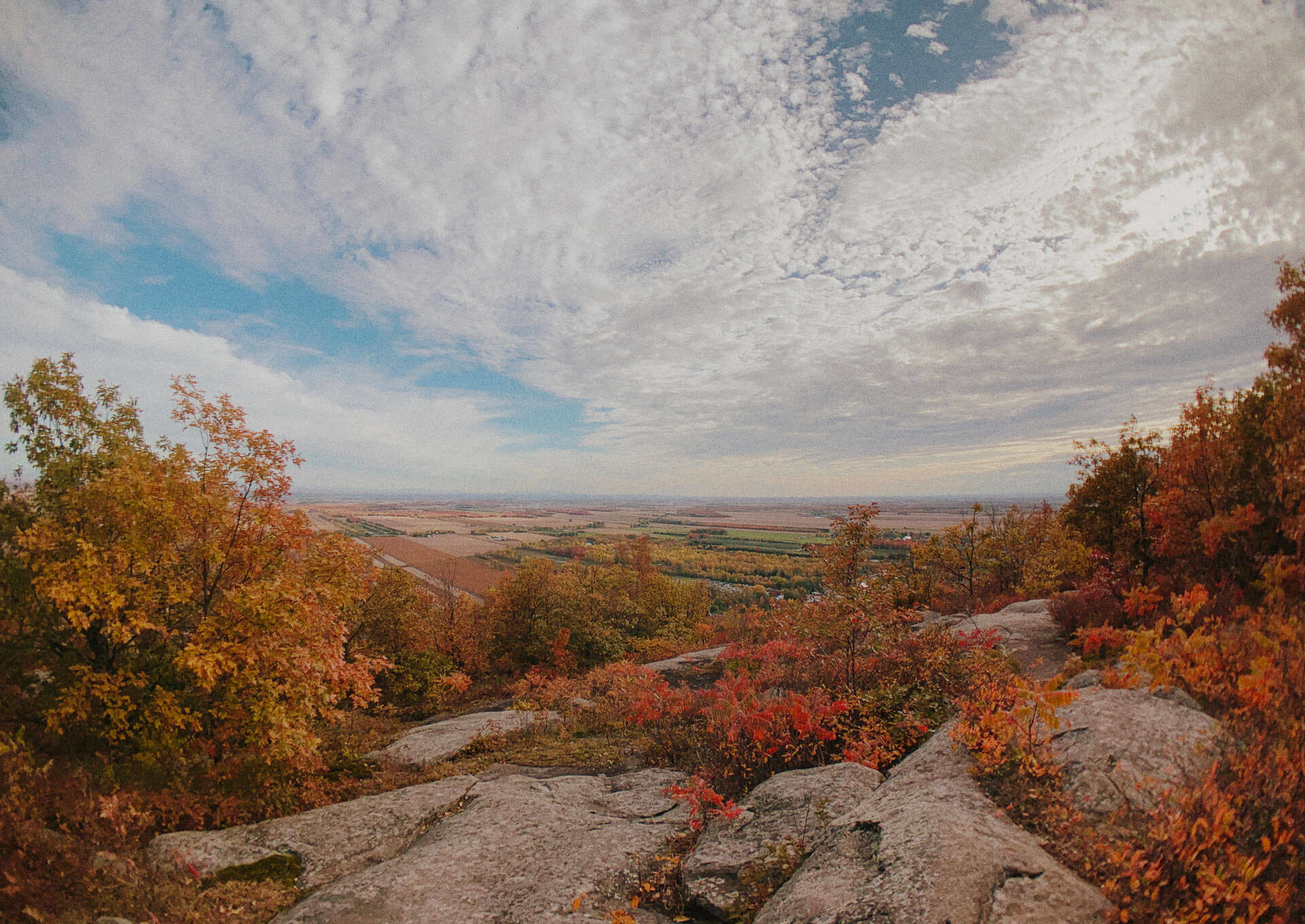 mont-saint-gregoire-paysage-lentilles-hitcase