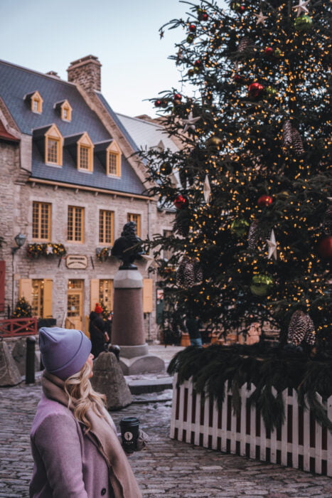 Sapin de la Place Royale dans le Vieux-Québec