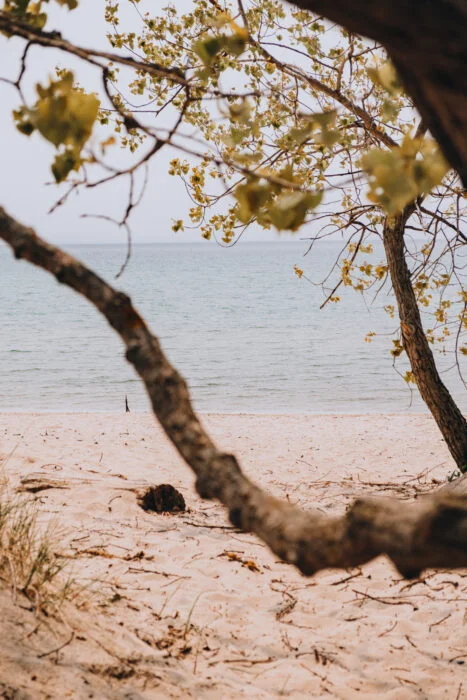outlet-beach-sandbanks