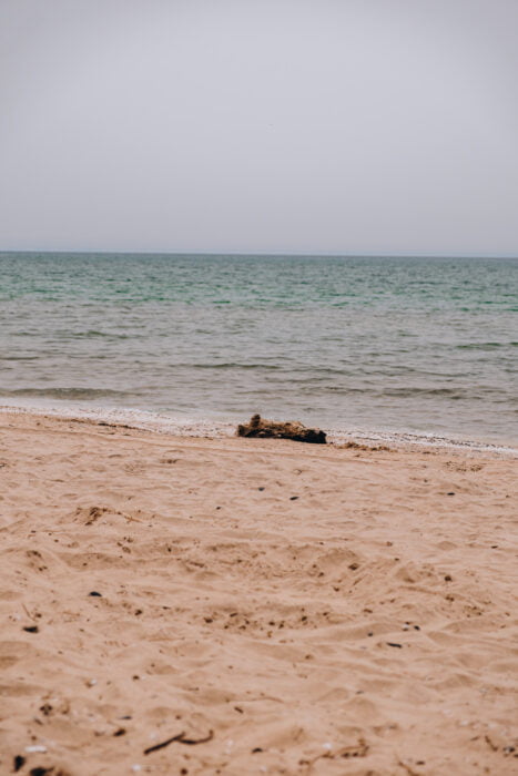 plage-lakeshore-sandbanks