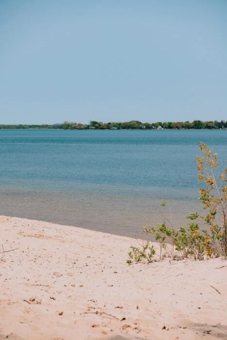 vue-dunes-beach-sandbanks