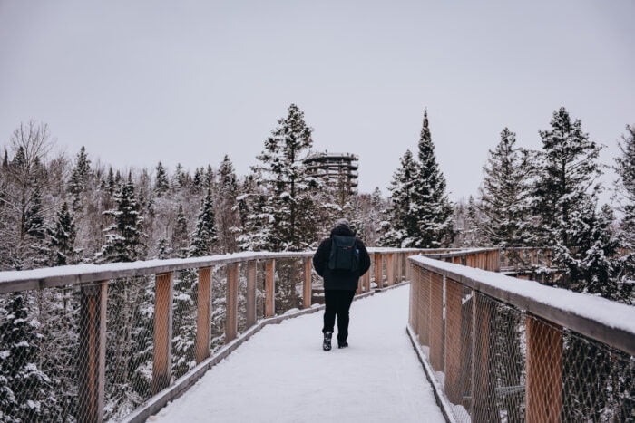 sentier-des-cimes-hiver