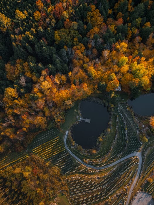 lac-coeur-chateau-sainte-agnes