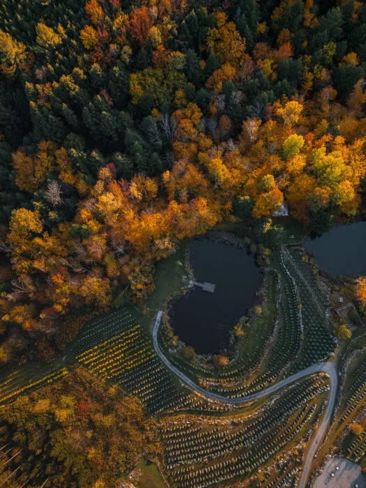 lac-coeur-chateau-sainte-agnes