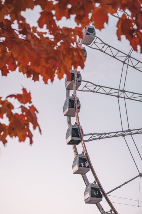 grande-roue-vieux-montreal-automne