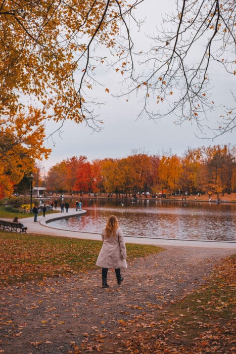 parc-mont-royal-automne-lac-castors