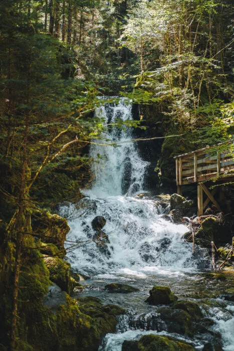chutes-dickson-parc-fundy