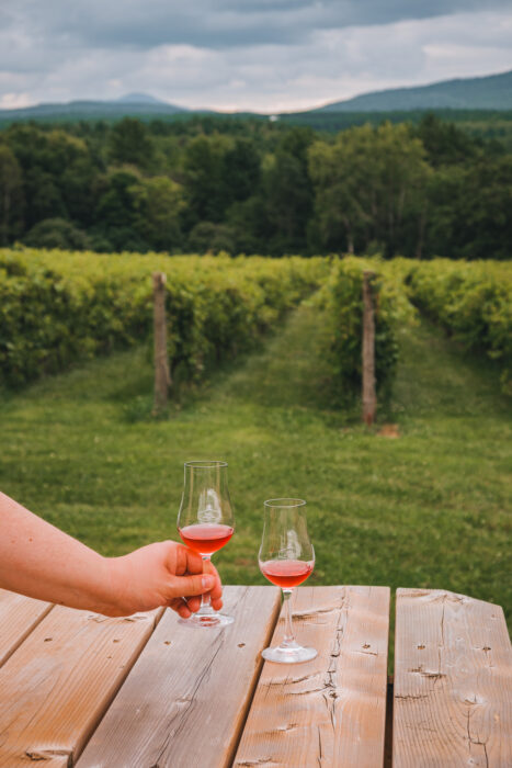 vignoble-val-caudalies-vin-degustation