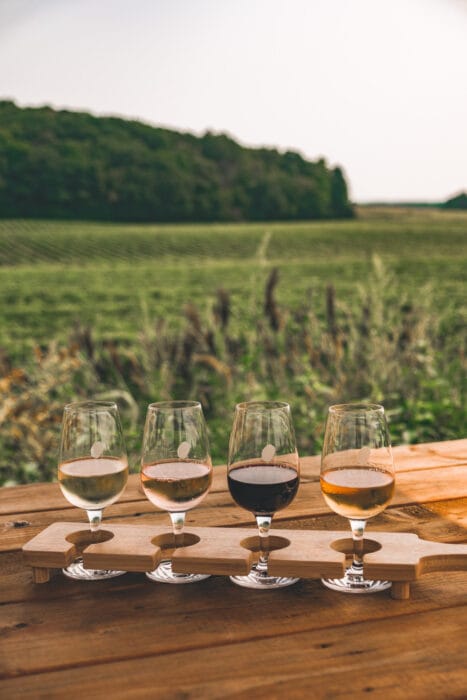cantina-vignoble