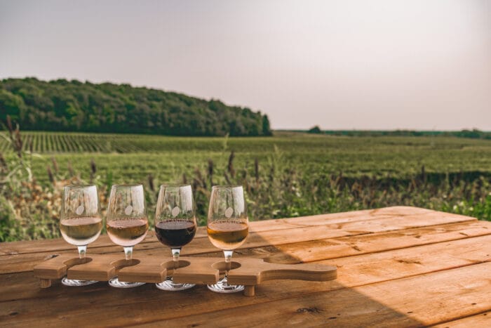 Vignobles à visiter au Québec cet automne