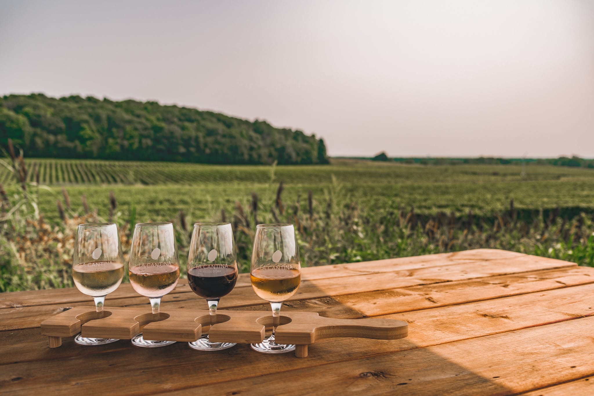 Vignobles à visiter au Québec cet automne