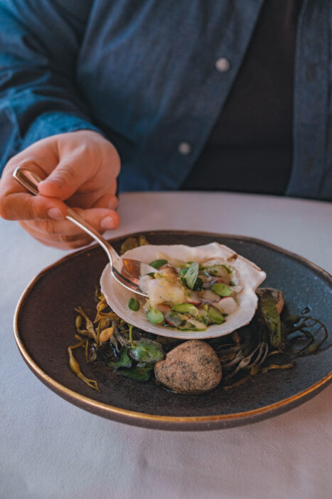 riverain-crudo-petoncle-ripplecove