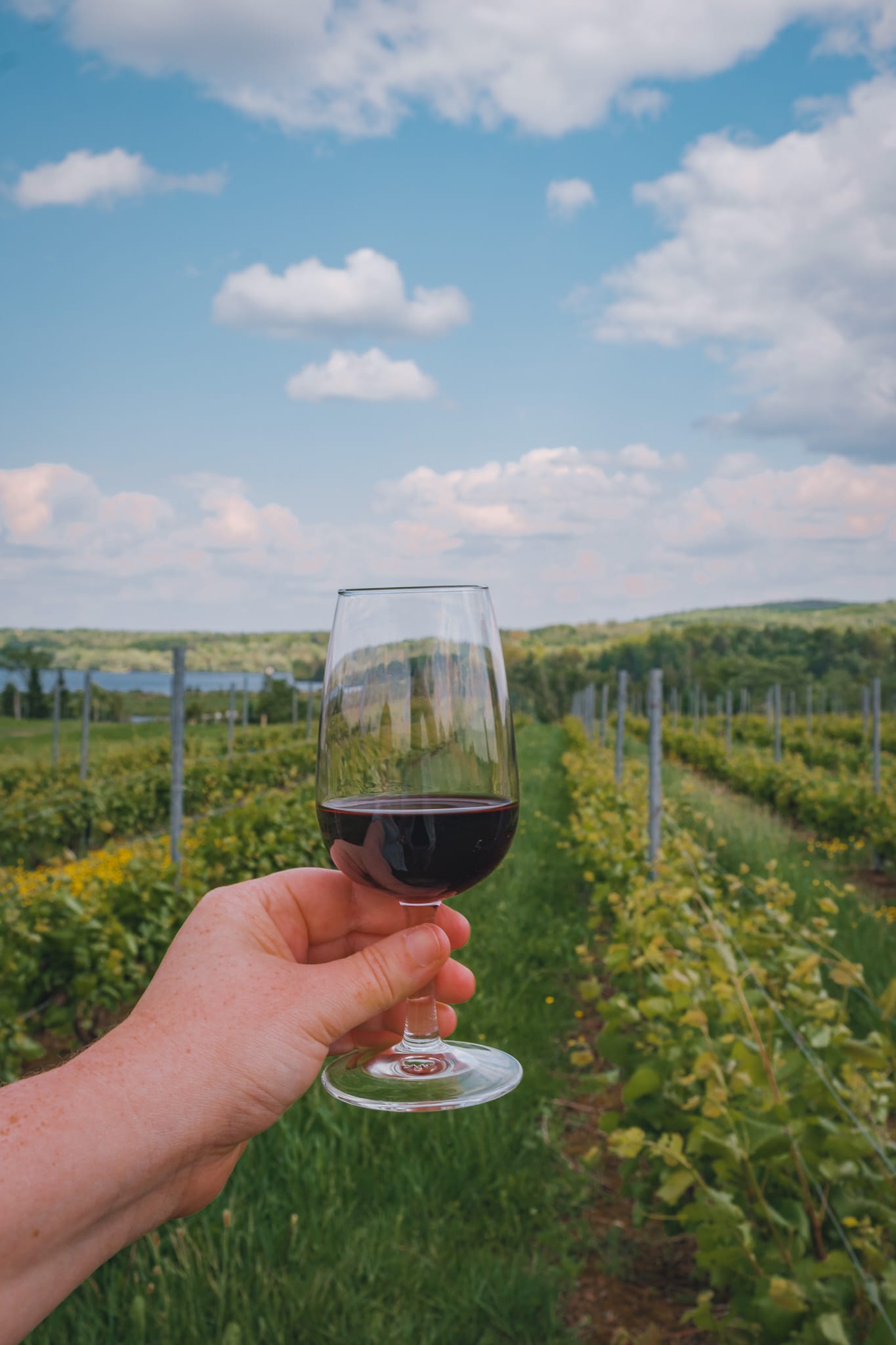 vignoble-sainte-catherine-vin-memphremagog