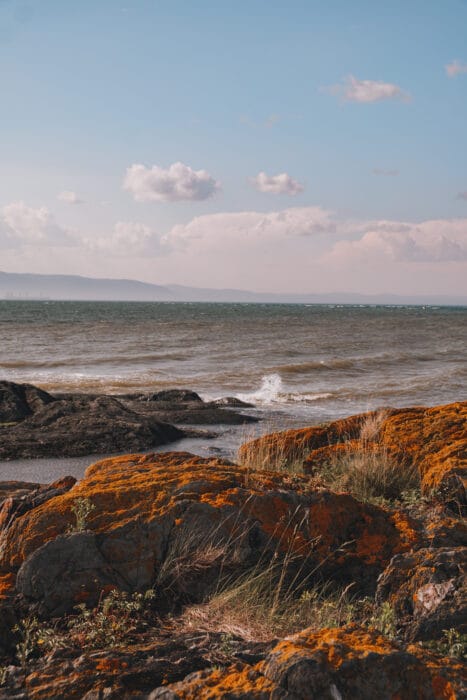 ile-aux-lievres-fleuve