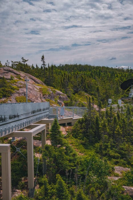 plateforme-observation-beluga-marie