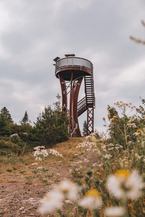 tour-observation-kamouraska-fleur