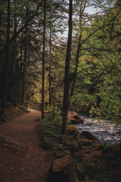 parc-mont-tremblant-riviere-sentiers