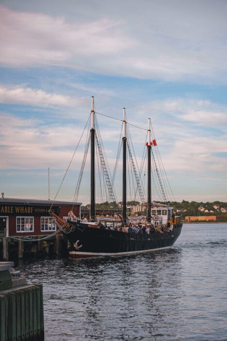 tall-ship-silva-quai