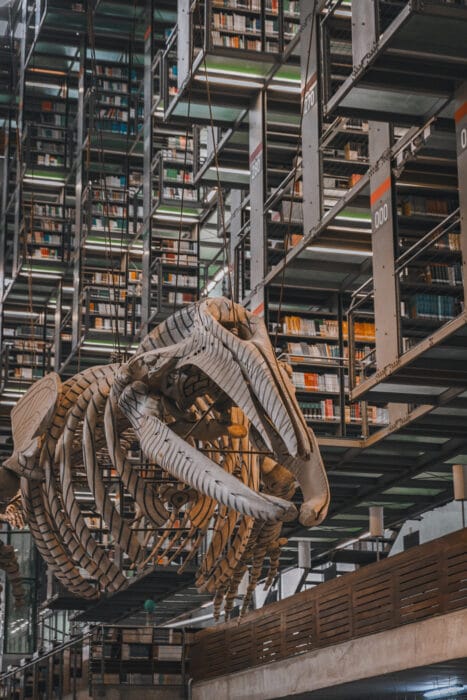 bibliotheque-Vasconcelos-baleine