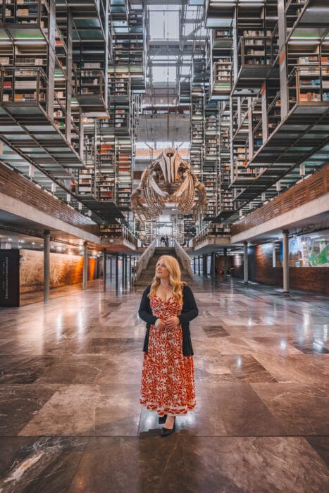 bibliotheque-Vasconcelos-mj-decor
