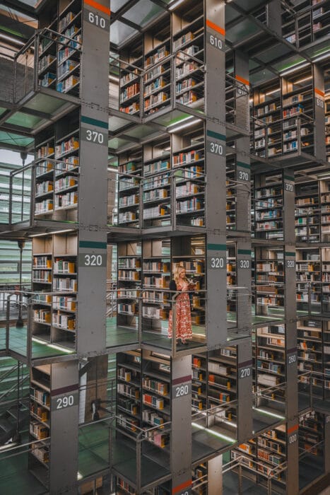 bibliotheque-Vasconcelos-mj-livres