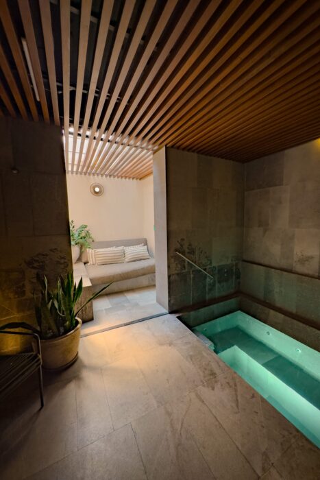 spa-bassin-froid-nima-roma-norte