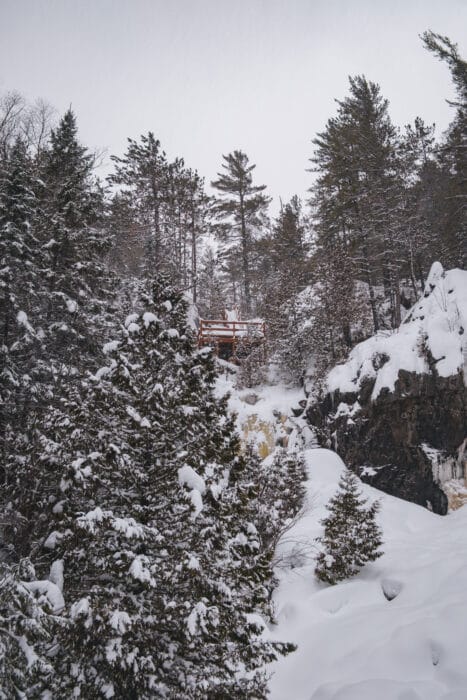 parc-chute-bull-hiver-belvedere