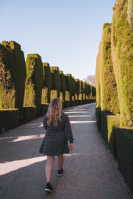 palais-nasride-alhambra-jardins