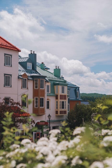 village-tremblant-fleur