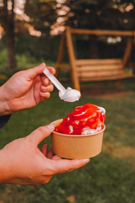 bleuetiere-marland-sundae