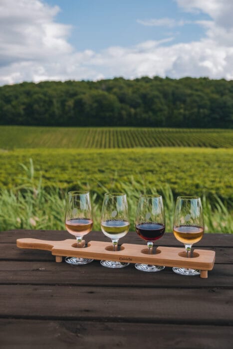 vignoble-lacantina-oka