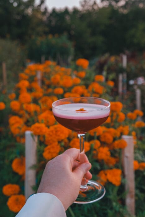 au-paturage-cocktail-champs
