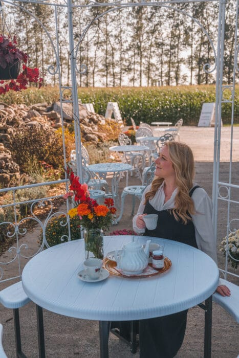 pivoinerie-terrasse-the