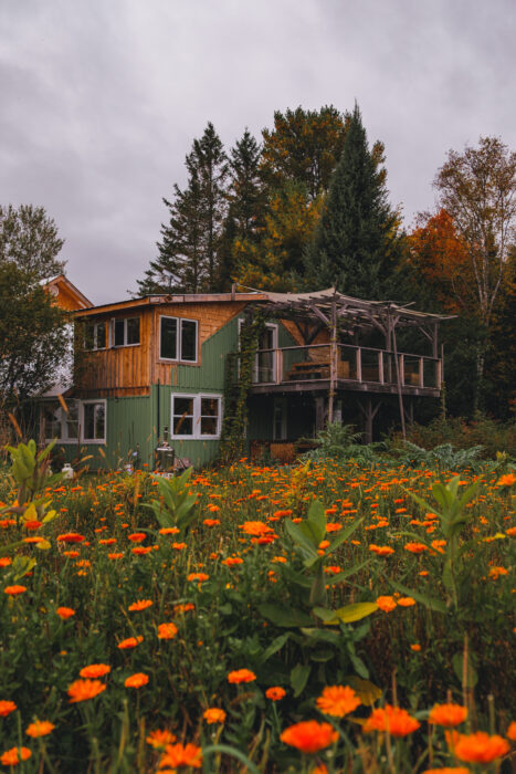 herboristerie-fee-bois-champs-fleurs