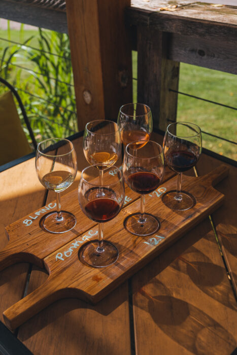 vignoble-chariot-rouge-degustation-vins