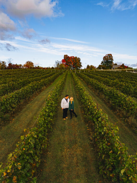 vignoble-chariot-rouge-drone-vignes-max-mj